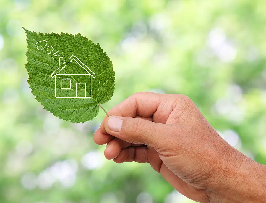 Landlord's Guide to Eco-Friendly Property Upgrades